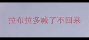 拉布拉多喊了不回来