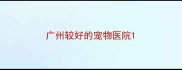 广州较好的宠物医院