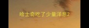 哈士奇吃了少量洋葱