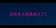 边牧多大就是成犬了