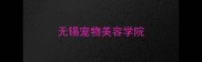 无锡宠物美容学院