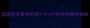 蓝猫绝育最佳时间3-6月龄科学喂养指南