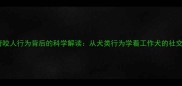 哈士奇咬人行为背后的科学解读从犬类行为学看工作犬的社交表达