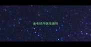 金毛体外驱虫滴剂