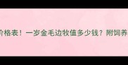最新边牧价格表一岁金毛边牧值多少钱附饲养成本全攻略