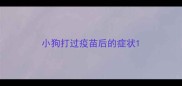 小狗打过疫苗后的症状