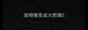 宠物猪变成大肥猪