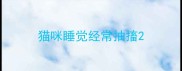 猫咪睡觉经常抽搐