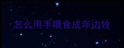 怎么用手喂食成年边牧