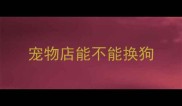 宠物店能不能换狗
