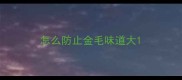 怎么防止金毛味道大