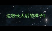 边牧长大后的样子