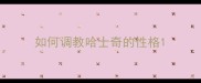 如何调教哈士奇的性格