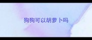 狗狗可以胡萝卜吗