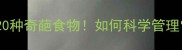 救命我家拉布拉多吃出20种奇葩食物如何科学管理它的饮食附专业喂食指南