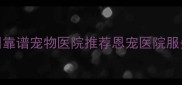郑州靠谱宠物医院推荐恩宠医院服务全