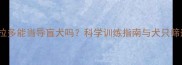拉布拉多能当导盲犬吗科学训练指南与犬只筛选全