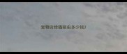 宠物店给猫驱虫多少钱