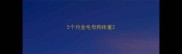 5个月金毛母狗体重