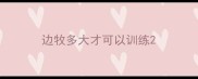 边牧多大才可以训练