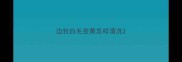 边牧白毛变黄怎样清洗