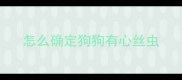 怎么确定狗狗有心丝虫
