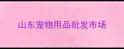 山东宠物用品批发市场