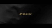 成年边牧才14公斤