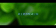哈士奇怎样分公母