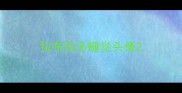 拉布拉多睡觉头像