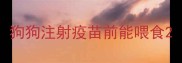 狗狗注射疫苗前能喂食