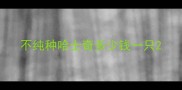 不纯种哈士奇多少钱一只