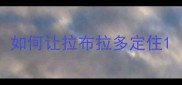 如何让拉布拉多定住
