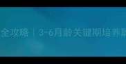 贵宾犬幼犬社会化训练全攻略3-6月龄关键期培养聪明导盲犬的黄金法则