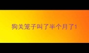 狗关笼子叫了半个月了