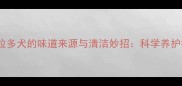 拉布拉多犬的味道来源与清洁妙招科学养护指南