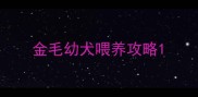 金毛幼犬喂养攻略