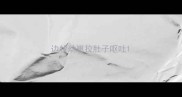 边牧幼崽拉肚子呕吐