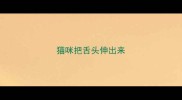 猫咪把舌头伸出来
