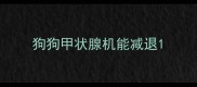 狗狗甲状腺机能减退