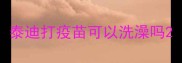泰迪打疫苗可以洗澡吗