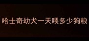 哈士奇幼犬一天喂多少狗粮