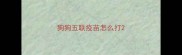 狗狗五联疫苗怎么打