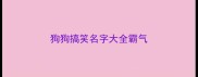 狗狗搞笑名字大全霸气