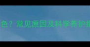 黑色拉布拉多眼睛发黄褐色常见原因及科学养护指南附专业兽医建议