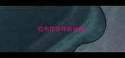 拉布拉多年龄分辨