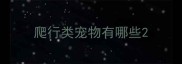 爬行类宠物有哪些