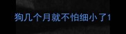 狗几个月就不怕细小了