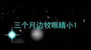三个月边牧眼睛小