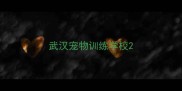 武汉宠物训练学校
